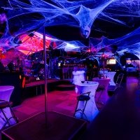 Halloween 2023 - Photos - Acanthus