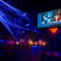 Halloween 2023 - Photos - Acanthus