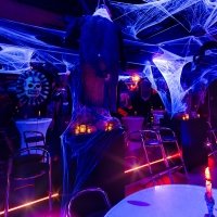 Halloween 2023 - Photos - Acanthus