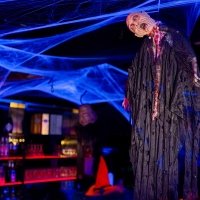 Halloween 2023 - Photos - Acanthus