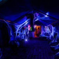 Halloween 2023 - Photos - Acanthus