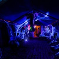 Halloween 2023 - Fotos - Acanthus