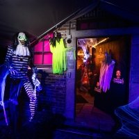 Halloween 2023 - Photos - Acanthus