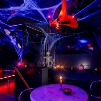 Halloween 2023 - Photos - Acanthus