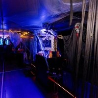 Halloween 2023 - Photos - Acanthus