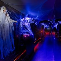 Halloween 2023 - Fotos - Acanthus