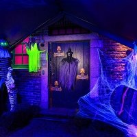 Halloween 2023 - Photos - Acanthus