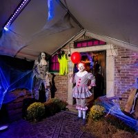 Halloween 2023 - Photos - Acanthus