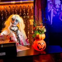Halloween 2023 - Photos - Acanthus