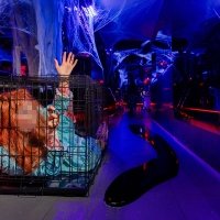 Halloween 2023 - Photos - Acanthus
