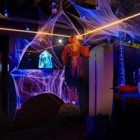 Halloween 2023 - Photos - Acanthus
