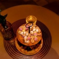 Chocolate 2023 - Photos - Acanthus
