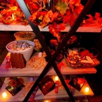 Chocolate 2023 - Photos - Acanthus