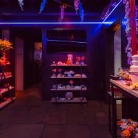 Chocolate 2023 - Photos - Acanthus