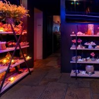 Chocolate 2023 - Photos - Acanthus