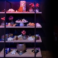 Chocolate 2023 - Photos - Acanthus