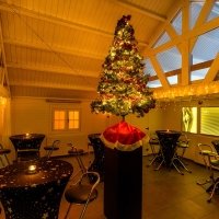 March De Noel 2023 - Photos - Acanthus