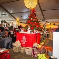 March De Noel 2023 - Photos - Acanthus