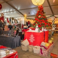 March De Noel 2023 - Photos - Acanthus