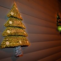 March De Noel 2023 - Photos - Acanthus