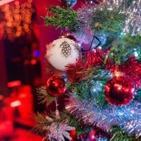 March De Noel 2023 - Photos - Acanthus
