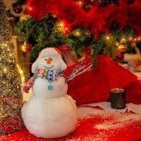 March De Noel 2023 - Photos - Acanthus
