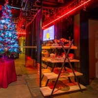 March De Noel 2023 - Photos - Acanthus