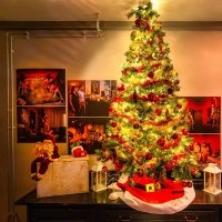 March De Noel 2023 - Photos - Acanthus