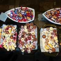 Nye 2023 - Photos - Acanthus