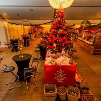 Nye 2023 - Photos - Acanthus