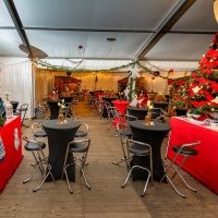 Nye 2023 - Photos - Acanthus