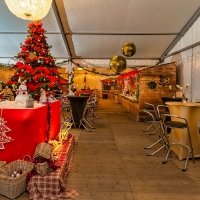 Nye 2023 - Photos - Acanthus