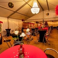 Nye 2023 - Photos - Acanthus