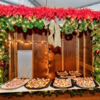 Nye 2023 - Photos - Acanthus