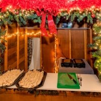 Nye 2023 - Photos - Acanthus