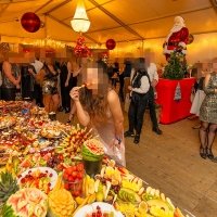 Nye 2023 - Photos - Acanthus