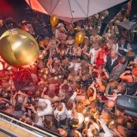 Nye 2023 - Photos - Acanthus