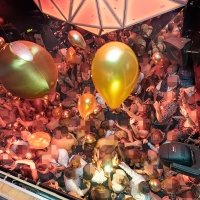 Nye 2023 - Photos - Acanthus