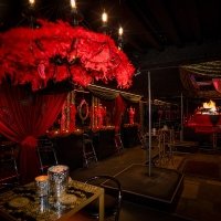 Burlesque 2024 - Photos - Acanthus