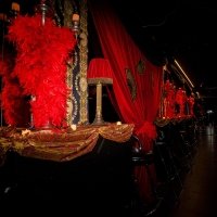 Burlesque 2024 - Fotos - Acanthus