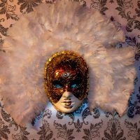 Eyes Wide Shut 2024 - Photos - Acanthus