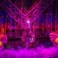 Pink 2024 - Fotos - Acanthus