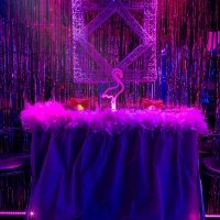 Pink 2024 - Fotos - Acanthus