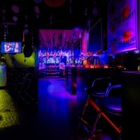 Flower Power 2024 - Fotos - Acanthus