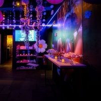 Flower Power 2024 - Fotos - Acanthus
