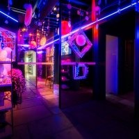 Flower Power 2024 - Fotos - Acanthus