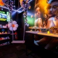 Flower Power 2024 - Fotos - Acanthus