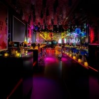 Flower Power 2024 - Fotos - Acanthus