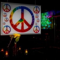 Flower Power 2024 - Fotos - Acanthus
