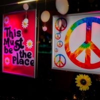 Flower Power 2024 - Fotos - Acanthus